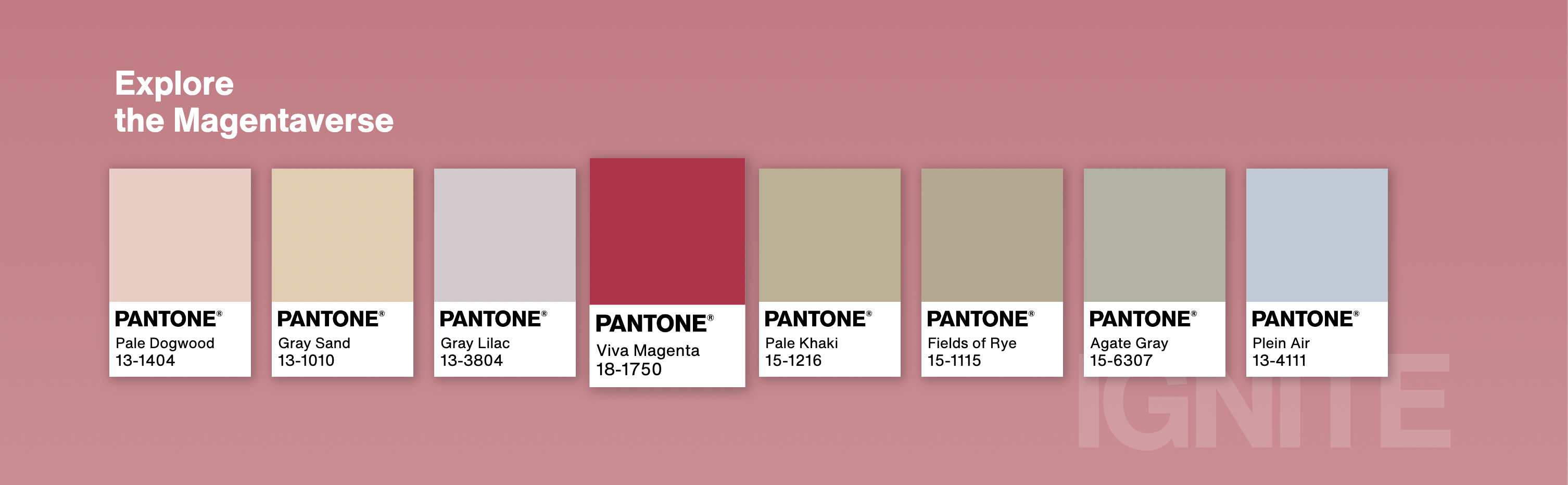 Enter the “Magentaverse,” Pantone’s Color of the Year